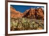 Prickly Pear cactus along Water Canyon, St. George, Utah, USA-null-Framed Photographic Print