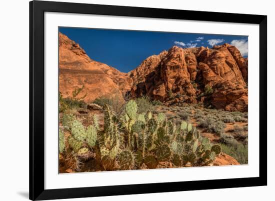 Prickly Pear cactus along Water Canyon, St. George, Utah, USA-null-Framed Photographic Print