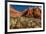 Prickly Pear cactus along Water Canyon, St. George, Utah, USA-null-Framed Photographic Print