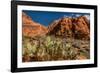 Prickly Pear cactus along Water Canyon, St. George, Utah, USA-null-Framed Photographic Print