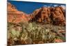 Prickly Pear cactus along Water Canyon, St. George, Utah, USA-null-Mounted Photographic Print