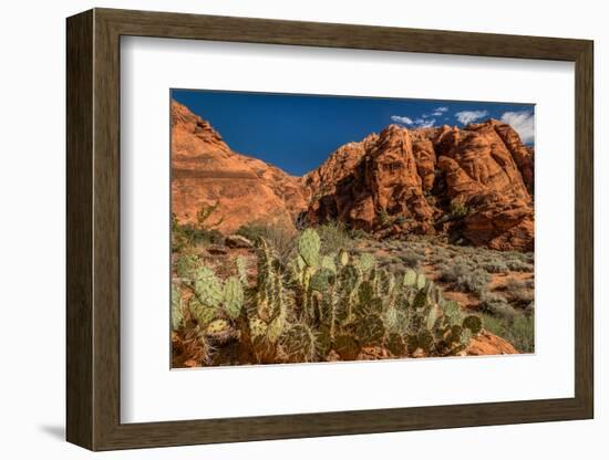 Prickly Pear cactus along Water Canyon, St. George, Utah, USA-null-Framed Photographic Print