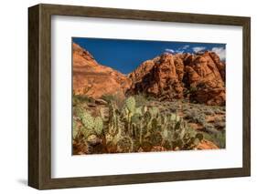 Prickly Pear cactus along Water Canyon, St. George, Utah, USA-null-Framed Photographic Print