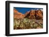 Prickly Pear cactus along Water Canyon, St. George, Utah, USA-null-Framed Photographic Print