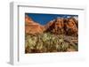 Prickly Pear cactus along Water Canyon, St. George, Utah, USA-null-Framed Photographic Print