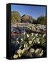 Prickly Pear Cactus and Cockscomb Formation, Coconino National Forest, Arizona-James Hager-Framed Stretched Canvas