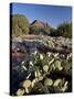 Prickly Pear Cactus and Cockscomb Formation, Coconino National Forest, Arizona-James Hager-Stretched Canvas
