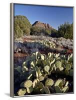 Prickly Pear Cactus and Cockscomb Formation, Coconino National Forest, Arizona-James Hager-Framed Photographic Print