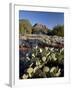 Prickly Pear Cactus and Cockscomb Formation, Coconino National Forest, Arizona-James Hager-Framed Photographic Print