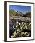 Prickly Pear Cactus and Cockscomb Formation, Coconino National Forest, Arizona-James Hager-Framed Photographic Print