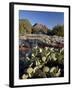 Prickly Pear Cactus and Cockscomb Formation, Coconino National Forest, Arizona-James Hager-Framed Photographic Print