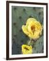 Prickly Pear Cactus Flower, Saguaro National Park, Arizona, USA-Jamie & Judy Wild-Framed Photographic Print