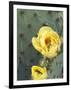 Prickly Pear Cactus Flower, Saguaro National Park, Arizona, USA-Jamie & Judy Wild-Framed Photographic Print