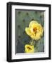 Prickly Pear Cactus Flower, Saguaro National Park, Arizona, USA-Jamie & Judy Wild-Framed Photographic Print