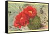 Prickly Pear Cactus in Bloom-null-Framed Stretched Canvas