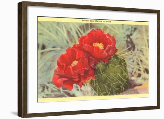 Prickly Pear Cactus in Bloom-null-Framed Art Print