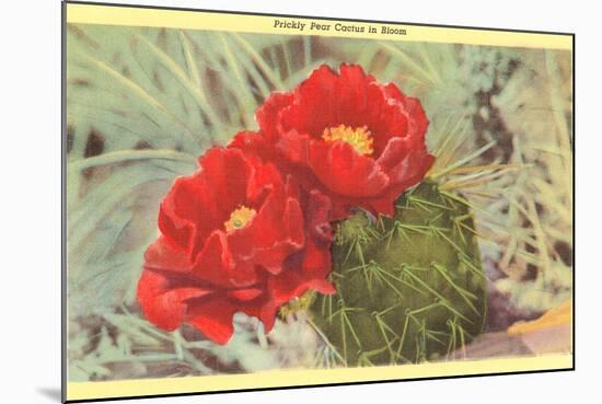 Prickly Pear Cactus in Bloom-null-Mounted Art Print