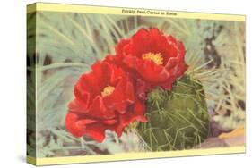 Prickly Pear Cactus in Bloom-null-Stretched Canvas