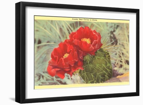 Prickly Pear Cactus in Bloom-null-Framed Art Print