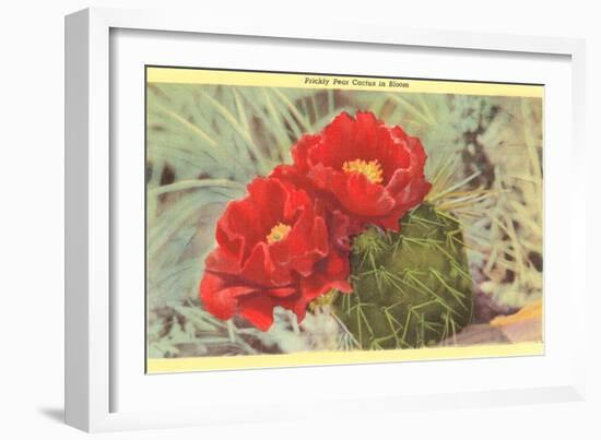 Prickly Pear Cactus in Bloom-null-Framed Art Print