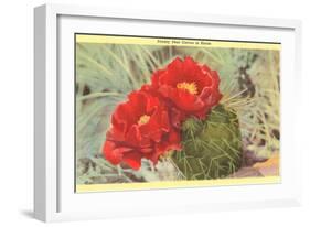 Prickly Pear Cactus in Bloom-null-Framed Art Print