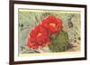 Prickly Pear Cactus in Bloom-null-Framed Premium Giclee Print