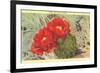 Prickly Pear Cactus in Bloom-null-Framed Premium Giclee Print