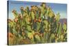 Prickly Pear Cactus in Fruit-null-Stretched Canvas