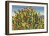 Prickly Pear Cactus in Fruit-null-Framed Art Print