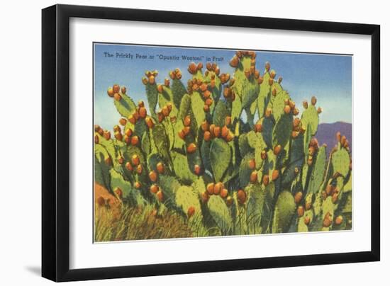 Prickly Pear Cactus in Fruit-null-Framed Art Print