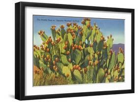 Prickly Pear Cactus in Fruit-null-Framed Art Print