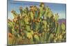 Prickly Pear Cactus in Fruit-null-Mounted Art Print