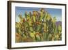 Prickly Pear Cactus in Fruit-null-Framed Art Print