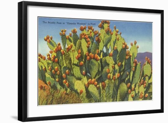 Prickly Pear Cactus in Fruit-null-Framed Art Print