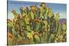 Prickly Pear Cactus in Fruit-null-Stretched Canvas