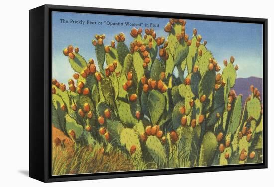Prickly Pear Cactus in Fruit-null-Framed Stretched Canvas