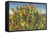 Prickly Pear Cactus in Fruit-null-Framed Stretched Canvas