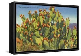 Prickly Pear Cactus in Fruit-null-Framed Stretched Canvas