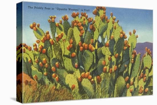 Prickly Pear Cactus in Fruit-null-Stretched Canvas