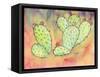 Prickly Pear Cactus-Beverly Dyer-Framed Stretched Canvas