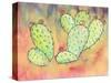 Prickly Pear Cactus-Beverly Dyer-Stretched Canvas