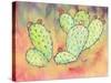 Prickly Pear Cactus-Beverly Dyer-Stretched Canvas