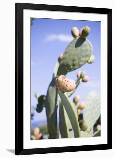 Prickly Pears on Cactus-Foodcollection-Framed Photographic Print