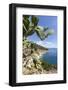 Prickly pears on rocks above the sea, Pomonte, Marciana, Elba Island, Livorno Province, Tuscany, It-Roberto Moiola-Framed Photographic Print