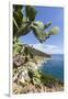 Prickly pears on rocks above the sea, Pomonte, Marciana, Elba Island, Livorno Province, Tuscany, It-Roberto Moiola-Framed Premium Photographic Print