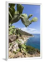 Prickly pears on rocks above the sea, Pomonte, Marciana, Elba Island, Livorno Province, Tuscany, It-Roberto Moiola-Framed Premium Photographic Print