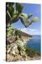 Prickly pears on rocks above the sea, Pomonte, Marciana, Elba Island, Livorno Province, Tuscany, It-Roberto Moiola-Stretched Canvas