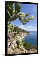 Prickly pears on rocks above the sea, Pomonte, Marciana, Elba Island, Livorno Province, Tuscany, It-Roberto Moiola-Framed Photographic Print