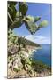 Prickly pears on rocks above the sea, Pomonte, Marciana, Elba Island, Livorno Province, Tuscany, It-Roberto Moiola-Mounted Photographic Print