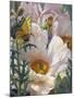 Prickly Poppies and Yellowtails-Elizabeth Horning-Mounted Giclee Print